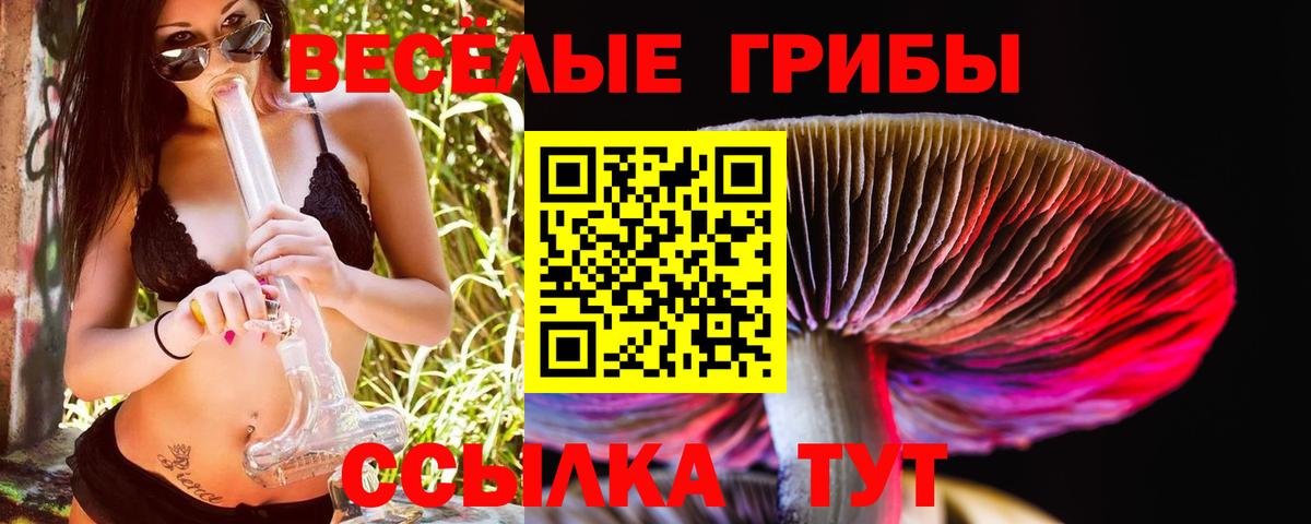 Псилоцибиновые грибы ЛСД Ртищево