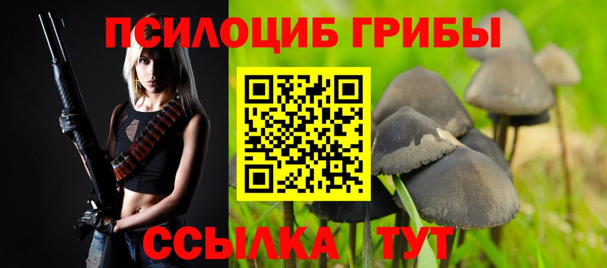 Галлюциногенные грибы прущие грибы  Вход с VPN  Ртищево  Галлюциногенные грибы Psilocybine cubensis 